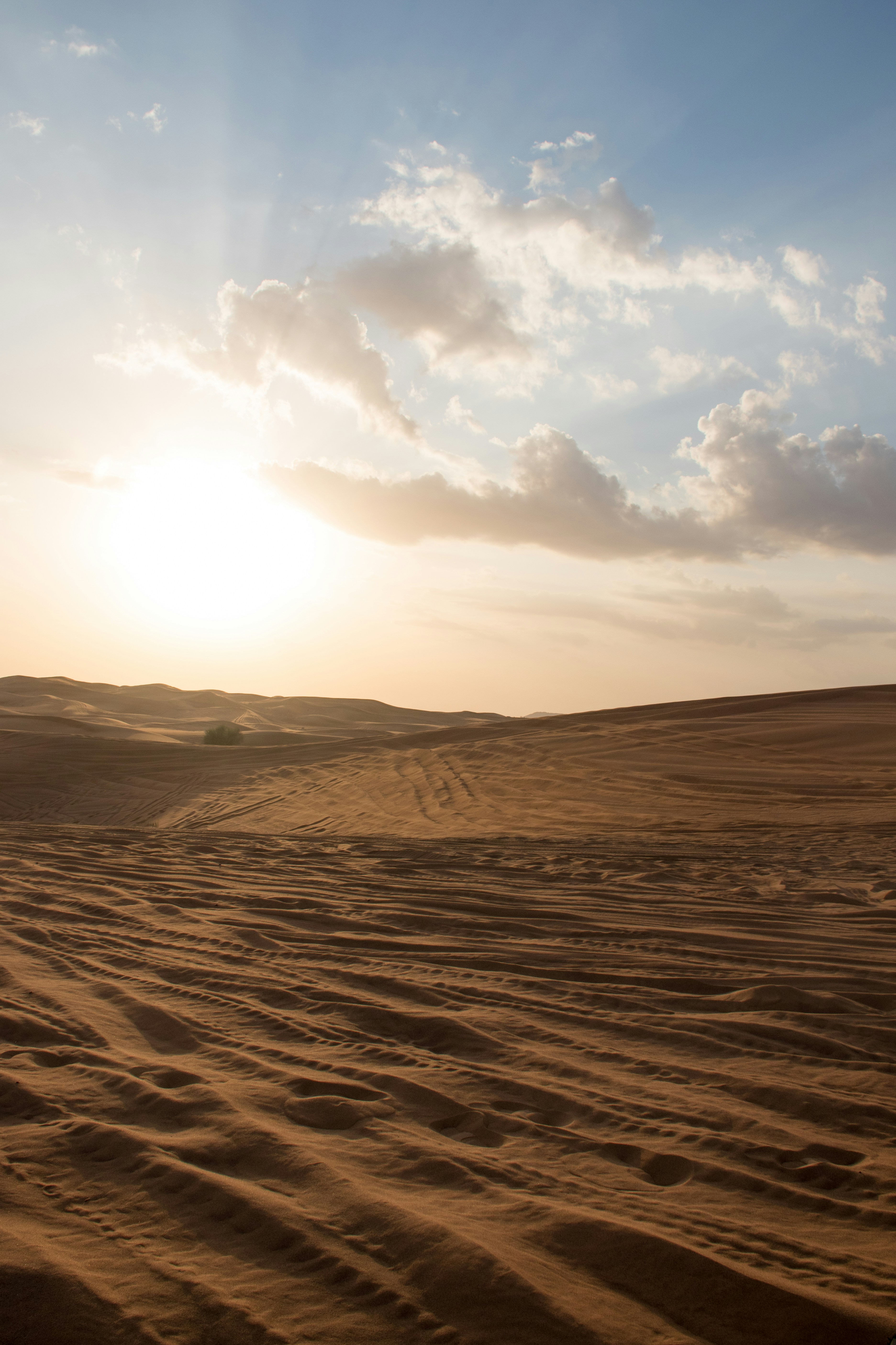 Photo by zoltanbukta