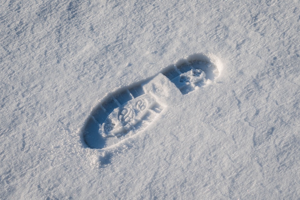 a bird's footprints in the snow on a sunny day