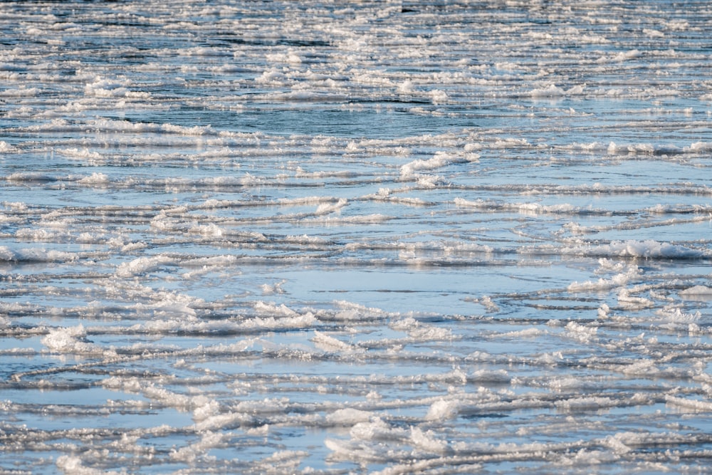 a large body of water with small waves