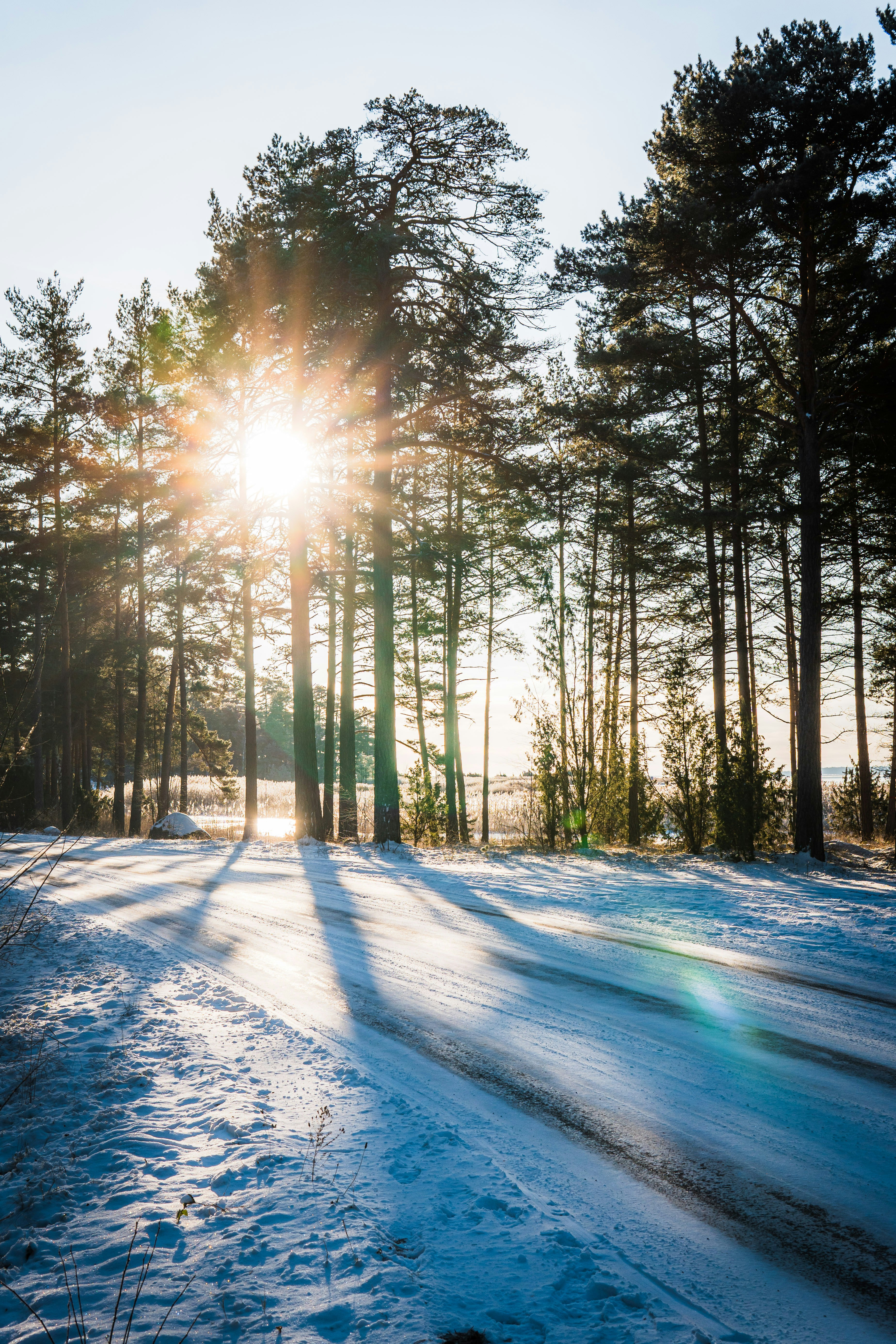 Photo by lennartspictures