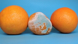 three oranges and an egg on a blue background