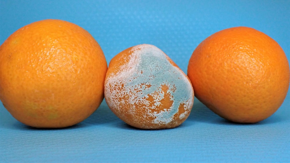 drei Orangen und ein Ei auf blauem Grund