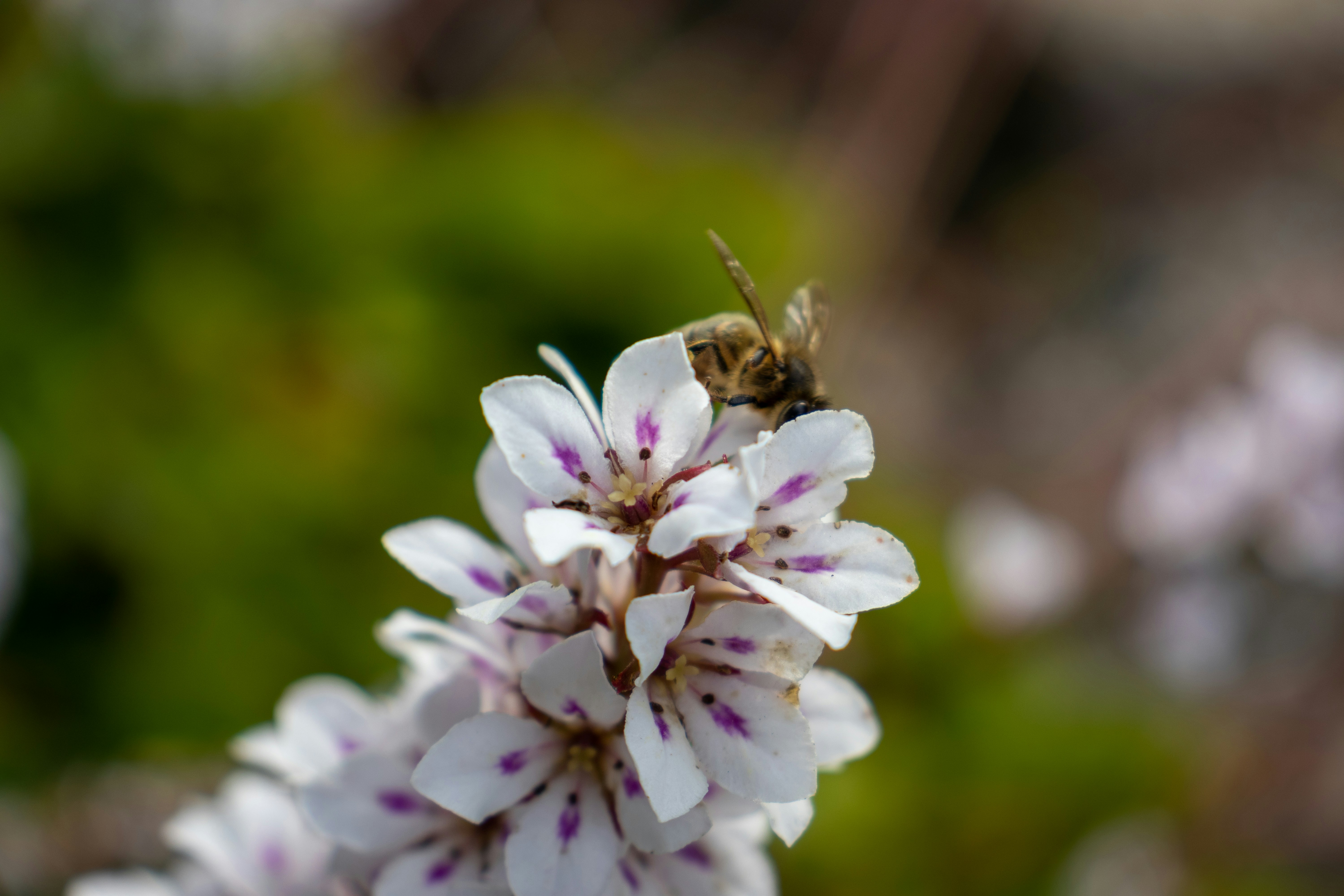 Photo by pokornymichal