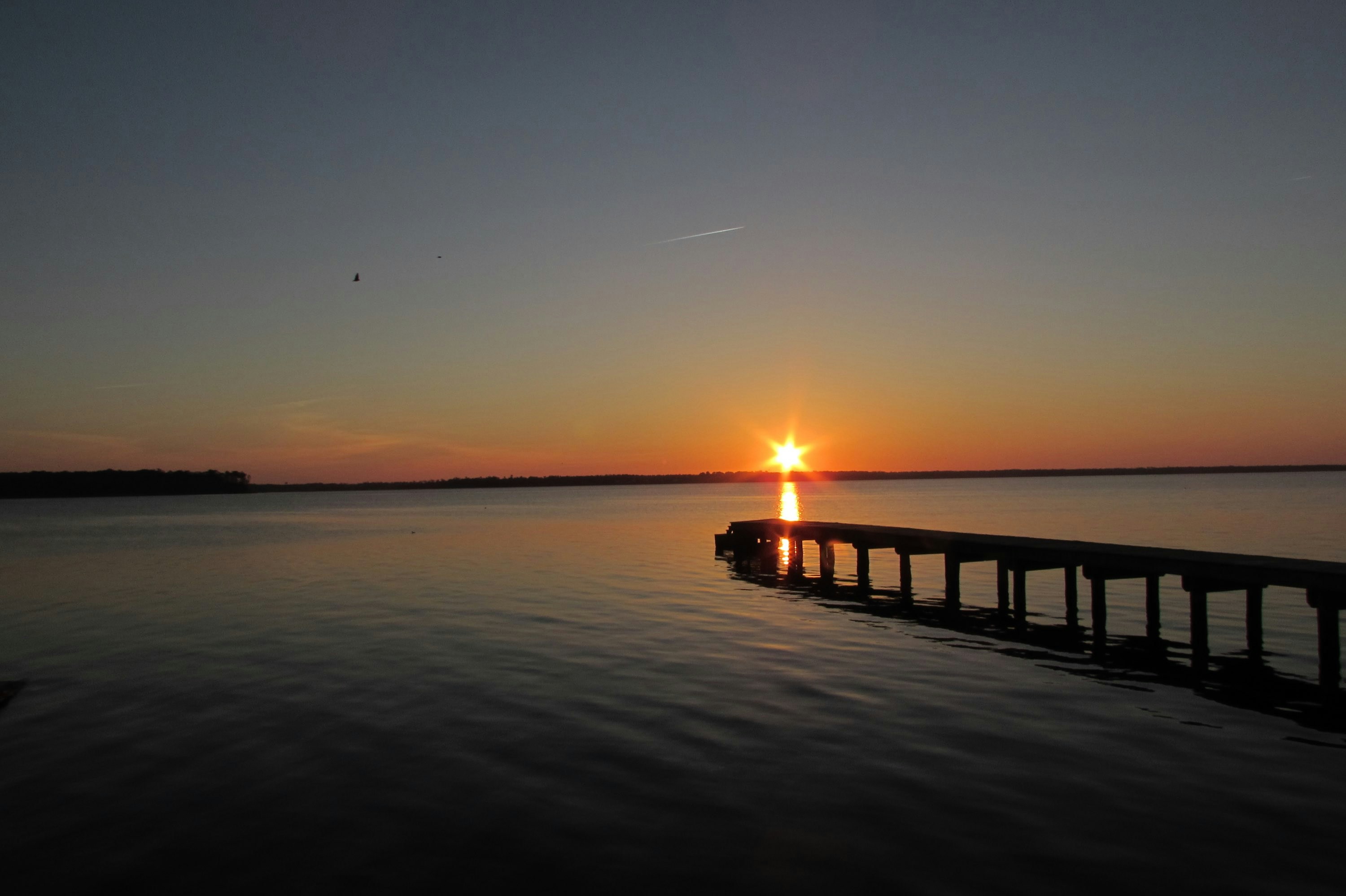 Photo by salinass1234