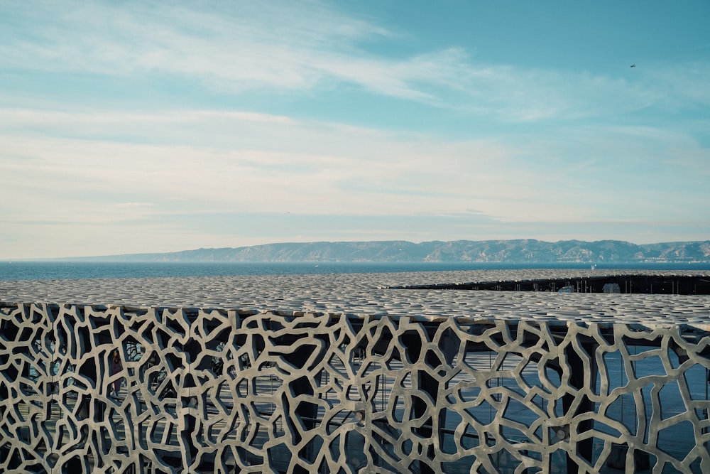 a view of a large body of water with mountains in the background