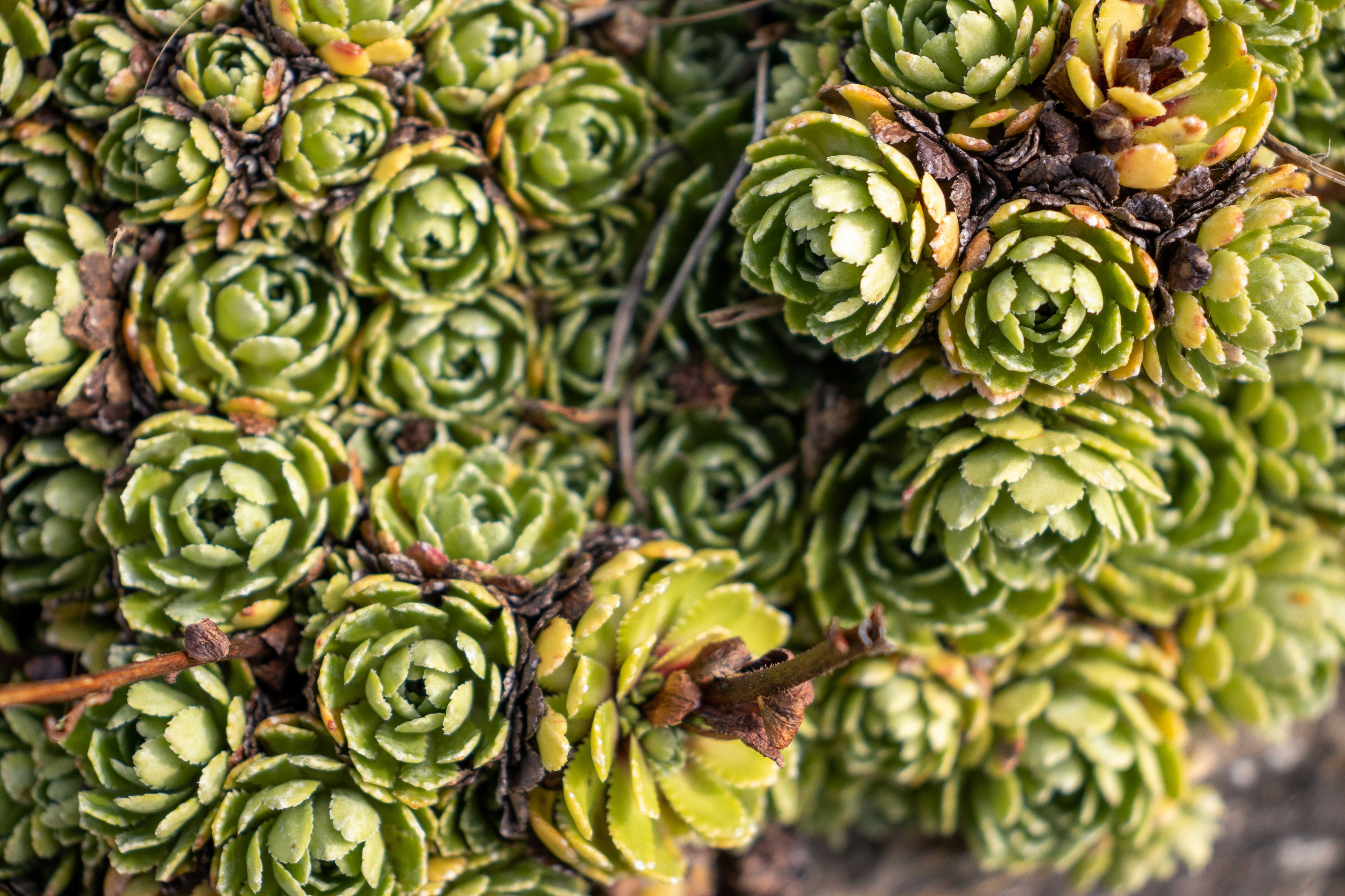 Photo by pokornymichal