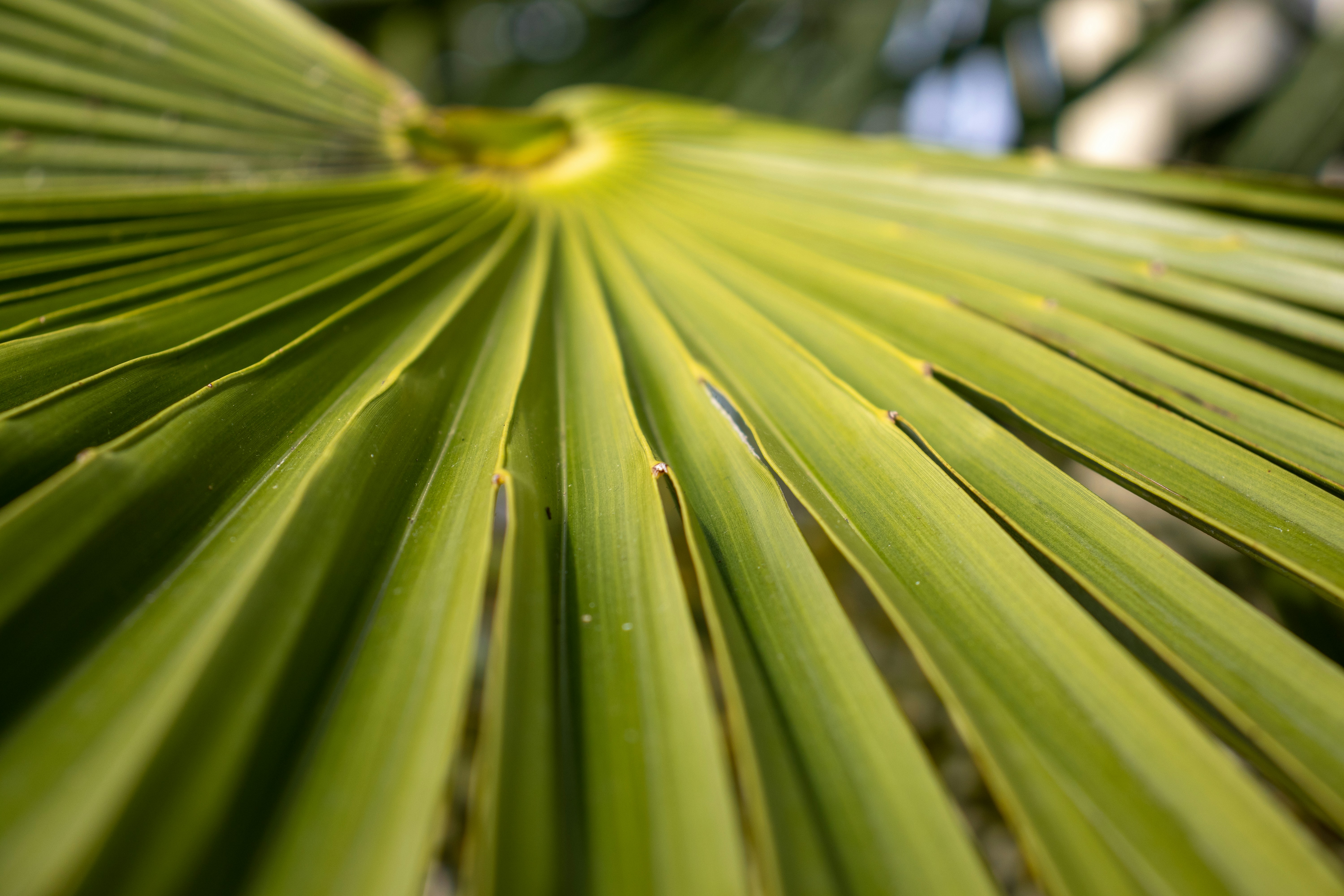 Photo by pokornymichal