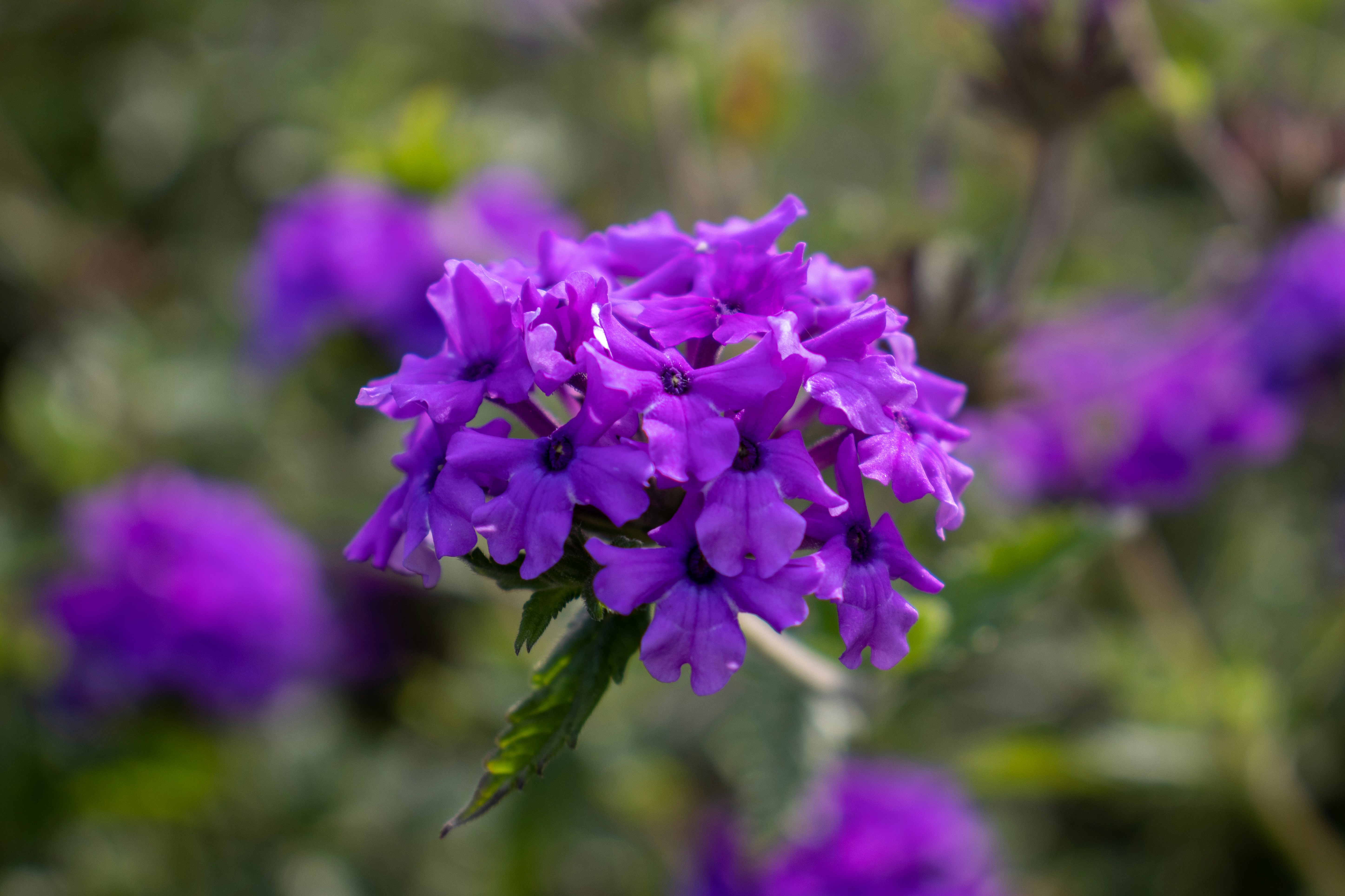 Photo by pokornymichal