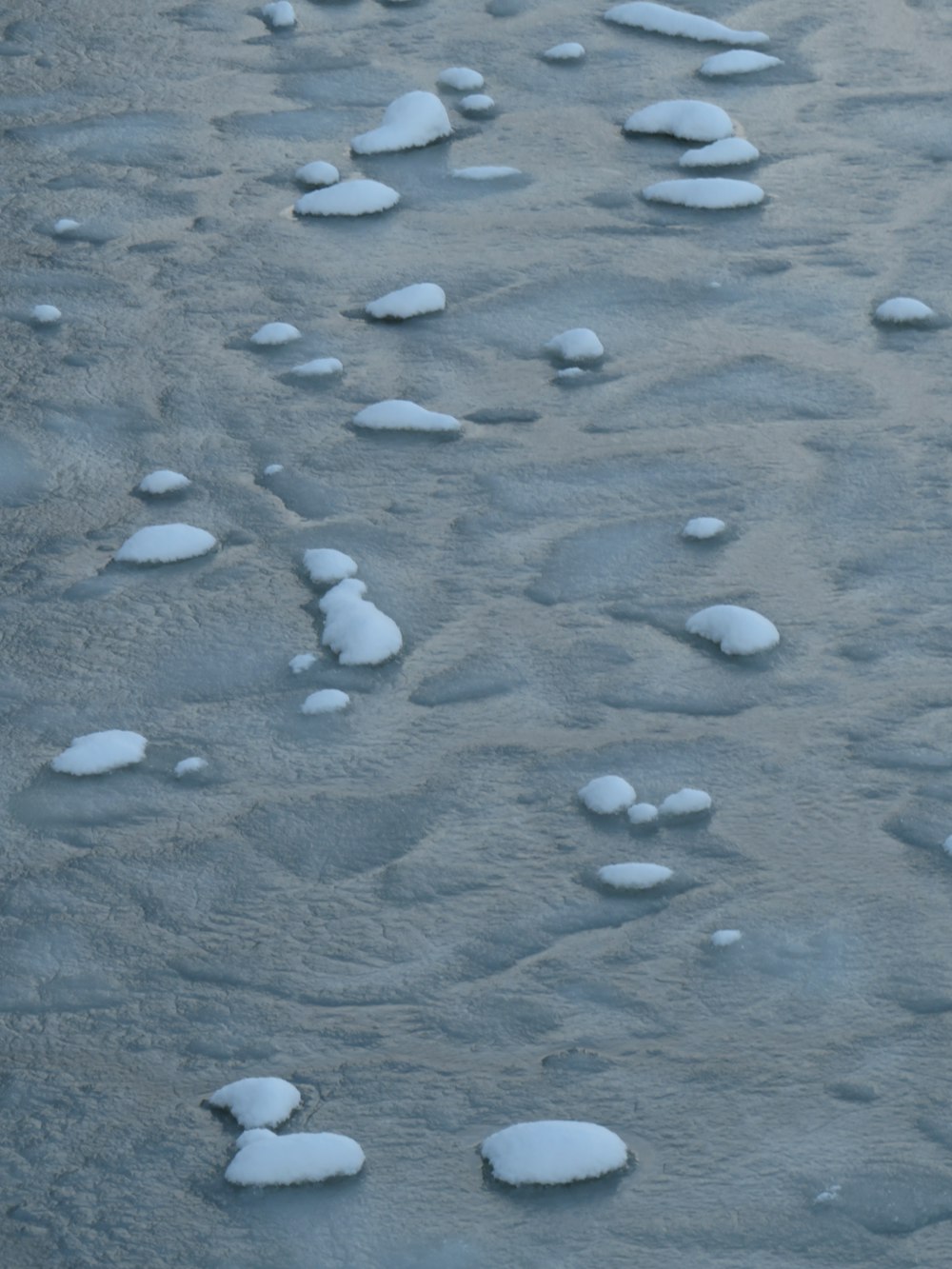 a polar bear walking across a snow covered field