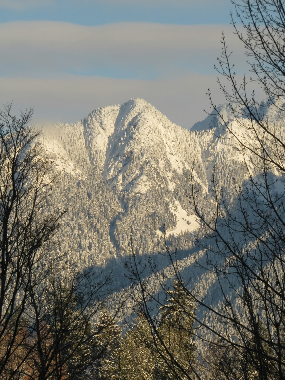 a snowy mountain range with trees in the foreground