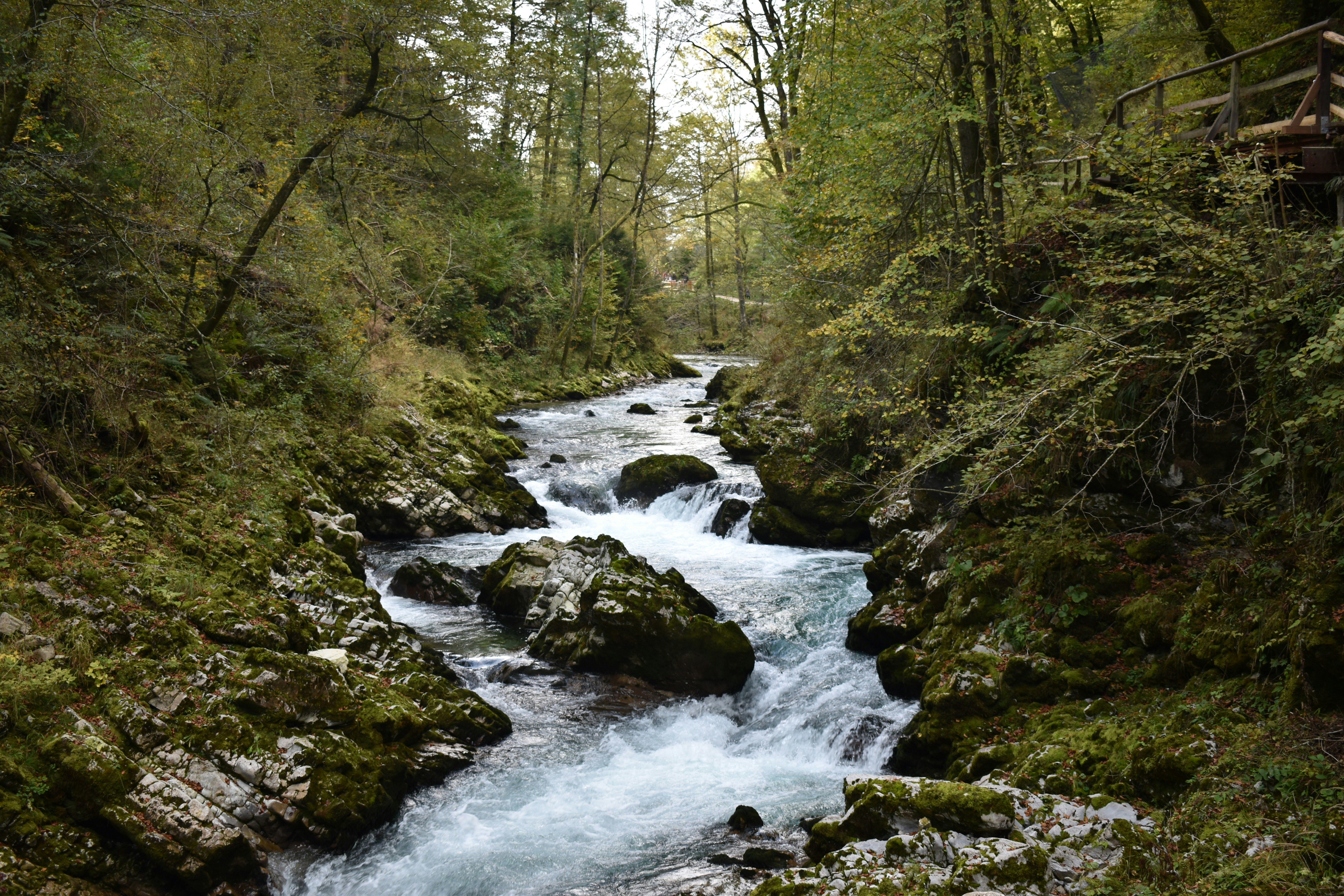 Photo by amir_alsharif