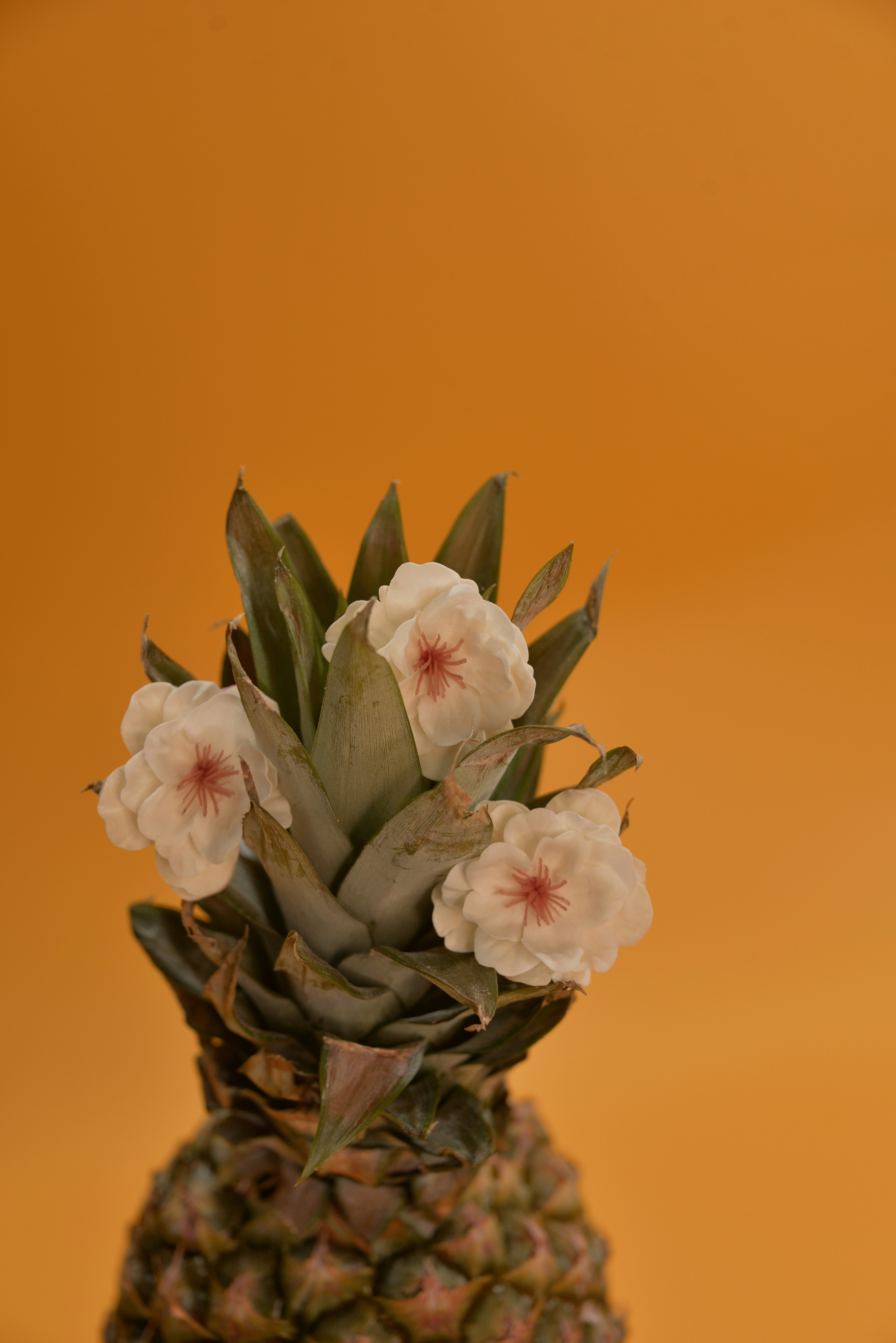 Photo by maximpotyomkin