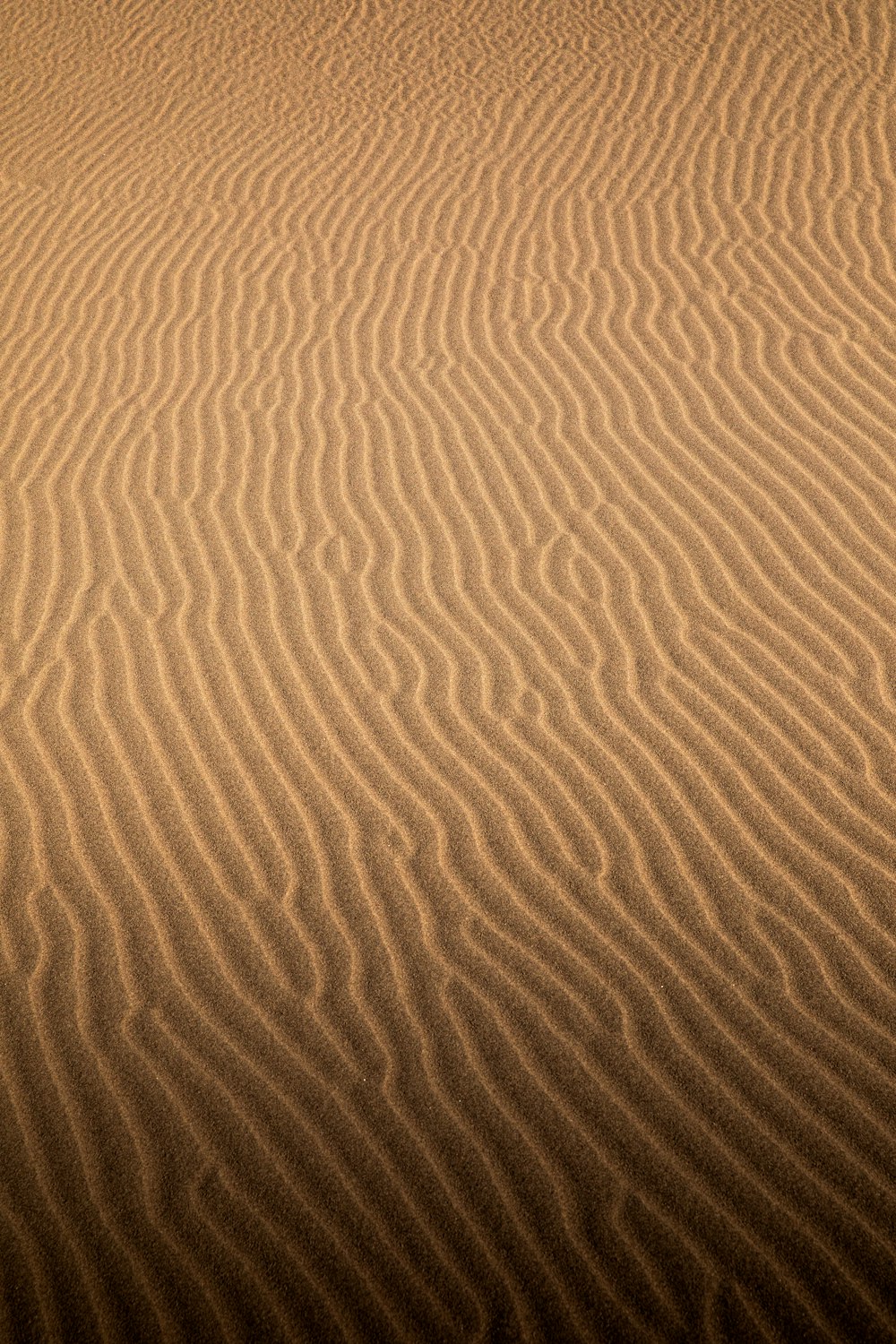 a large sand dune in the middle of a desert