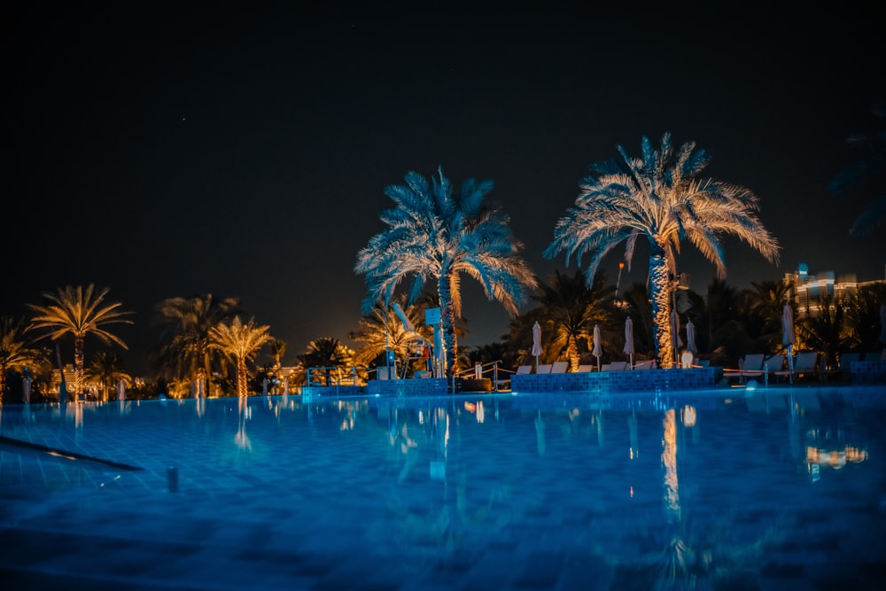 a large swimming pool surrounded by palm trees