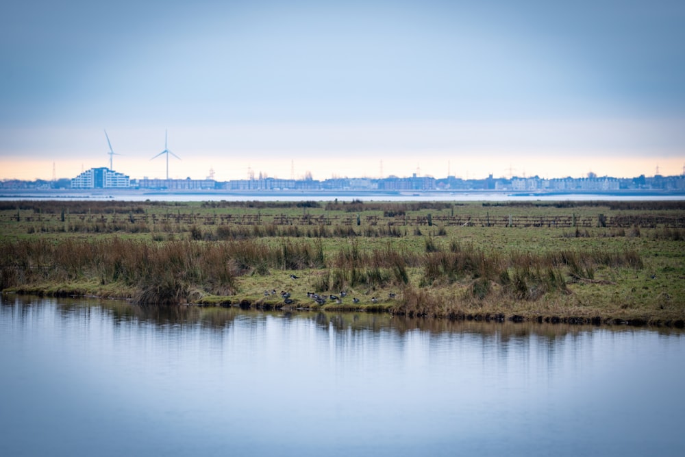 a large body of water surrounded by a lush green field