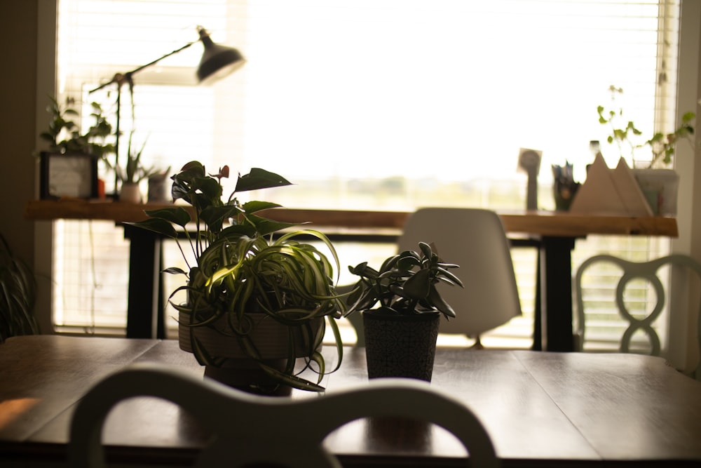 a table with a chair and a potted plant on it