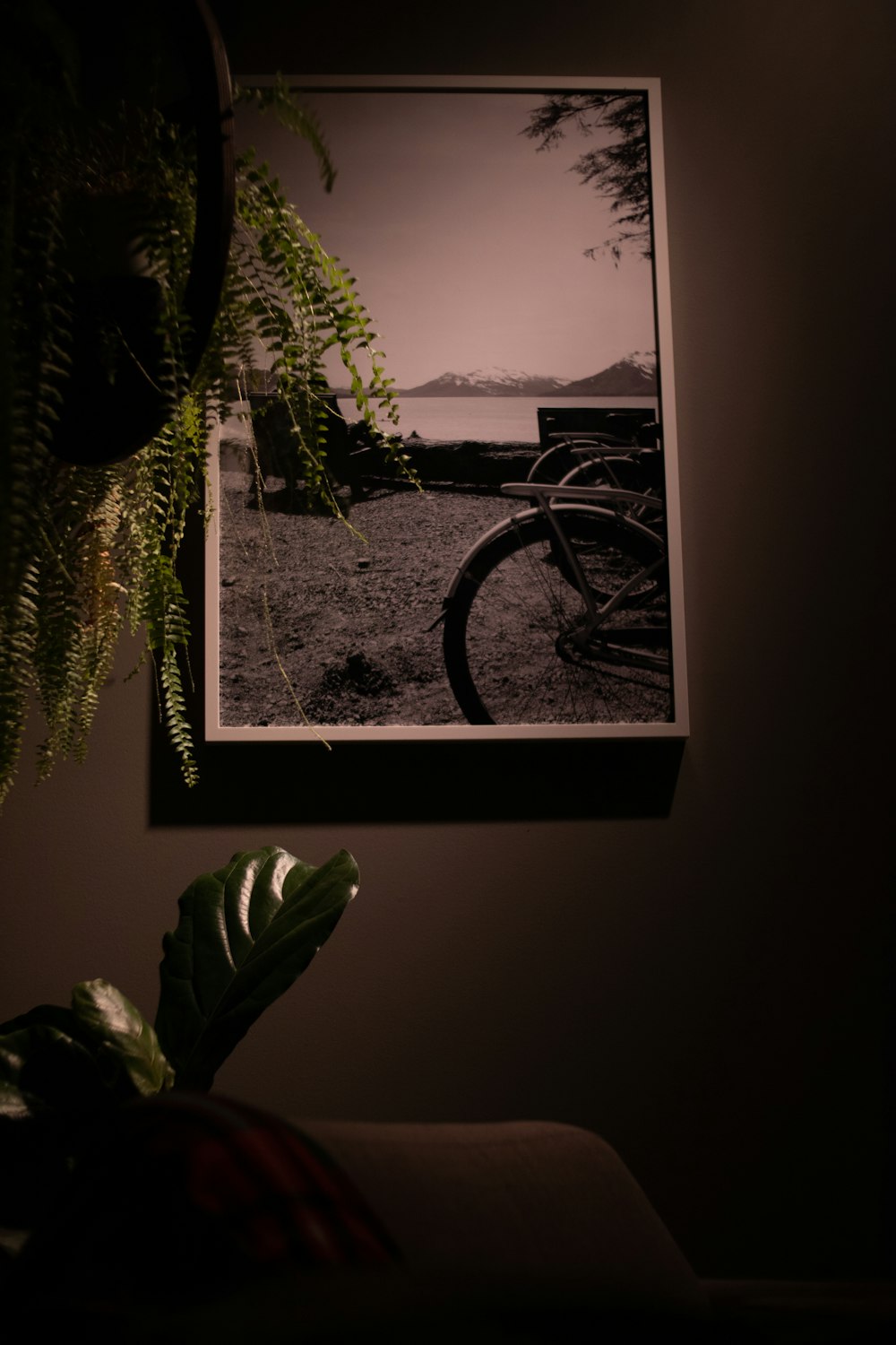 a black and white photo hanging on a wall next to a potted plant
