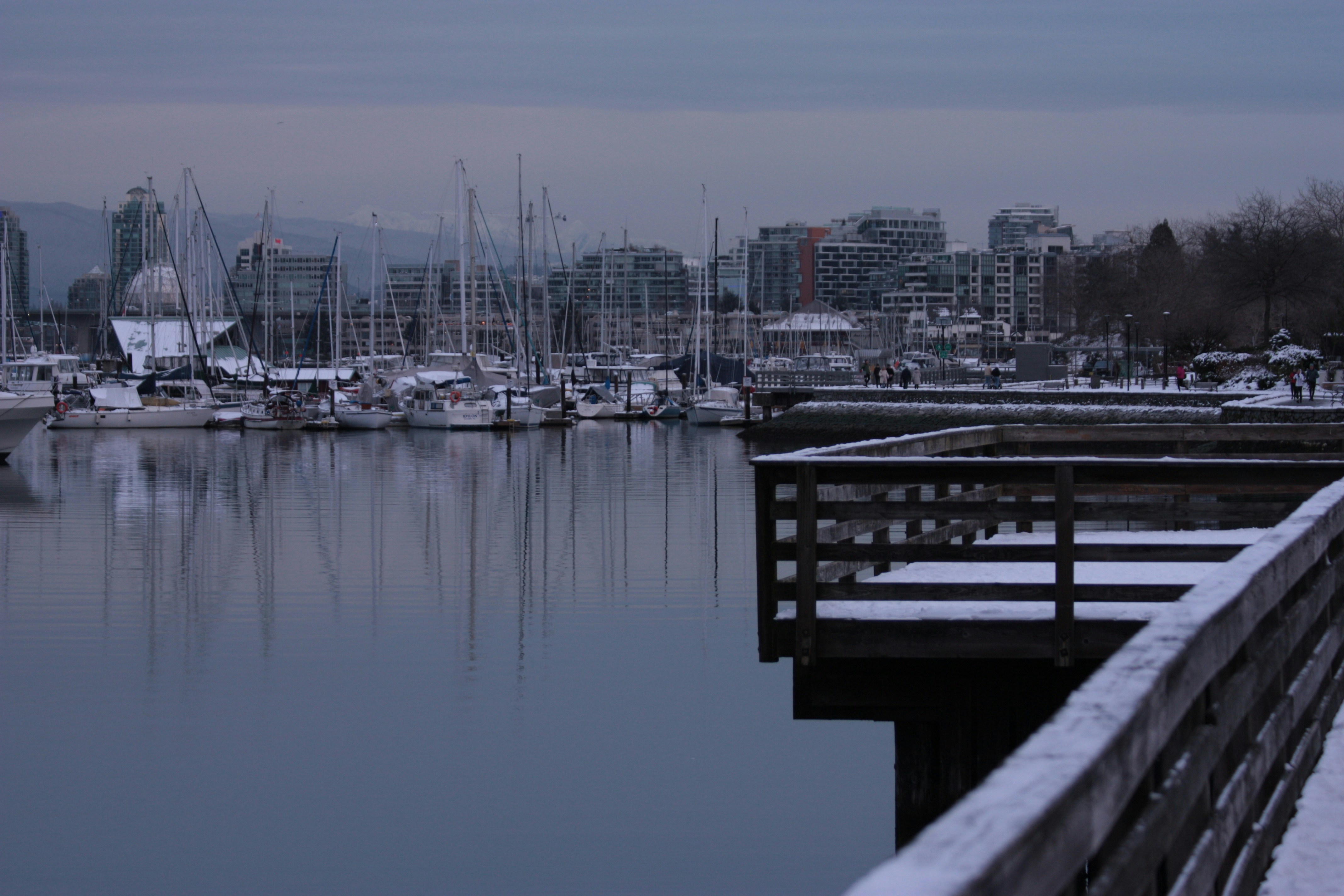 a harbor filled with lots of boats next to tall buildings