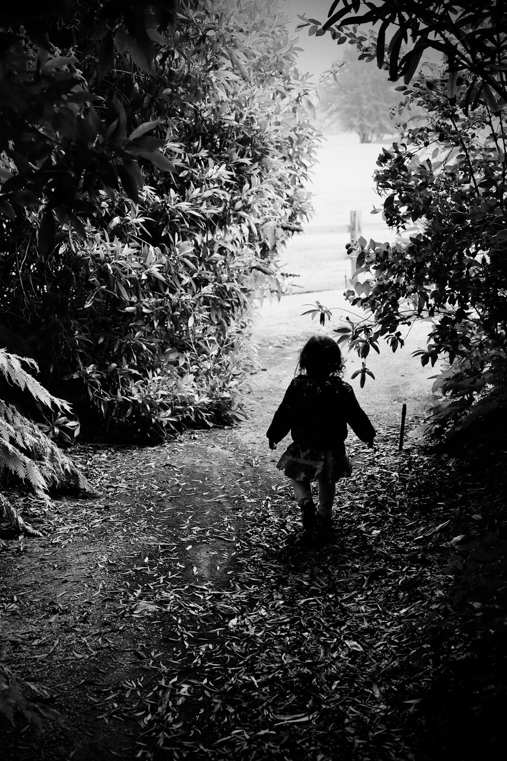 a little girl that is walking down a path