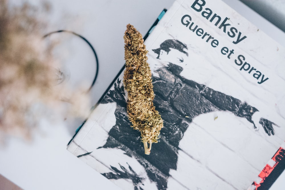 a close up of a book on a table