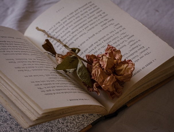 An old envelope torn open, its edges worn and fragile, lying beside a wilted rose.