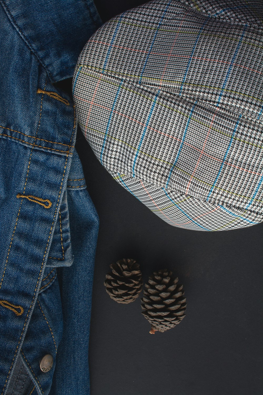 a pair of pine cones sitting on top of a pair of jeans