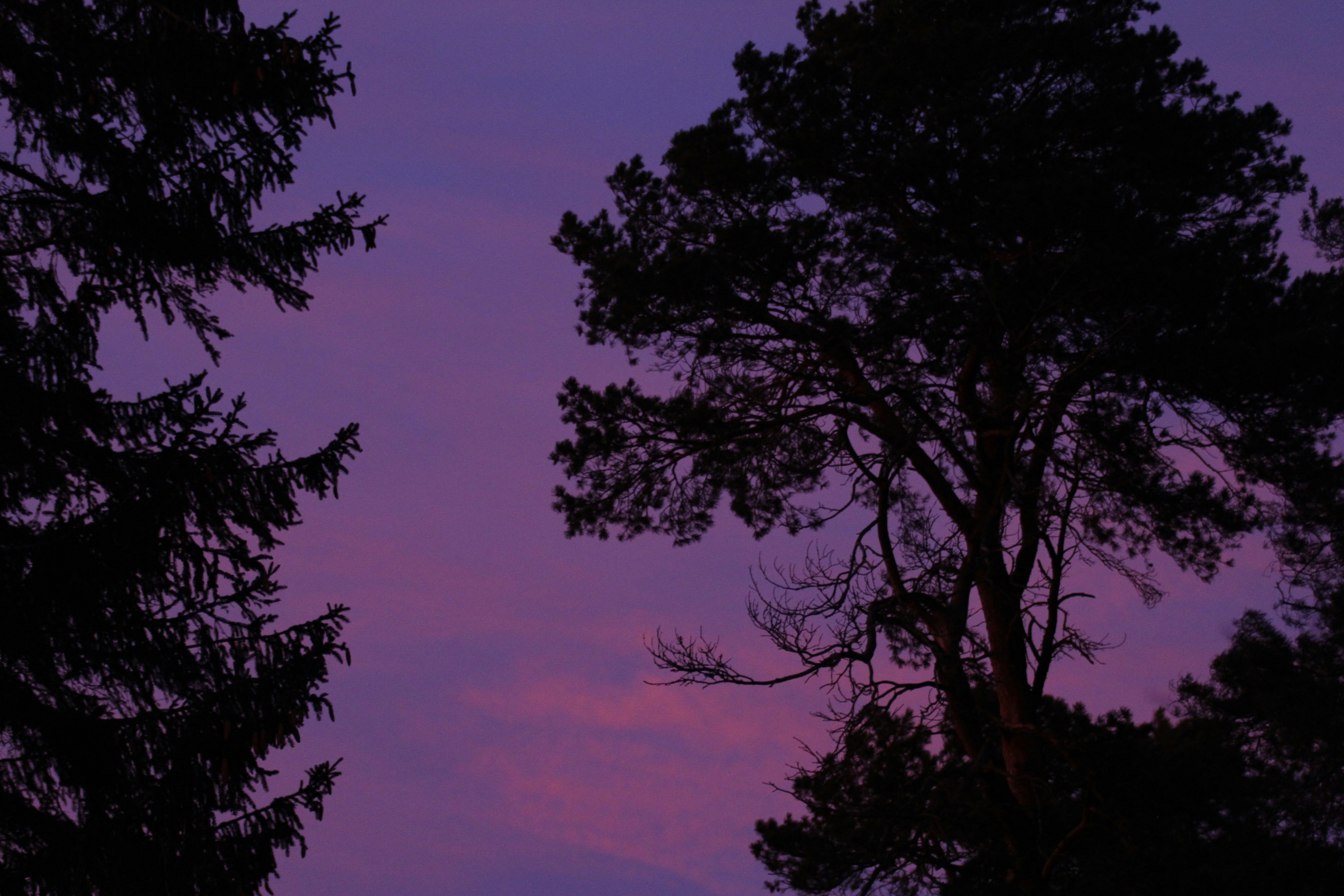 Photo by ted_johnsson