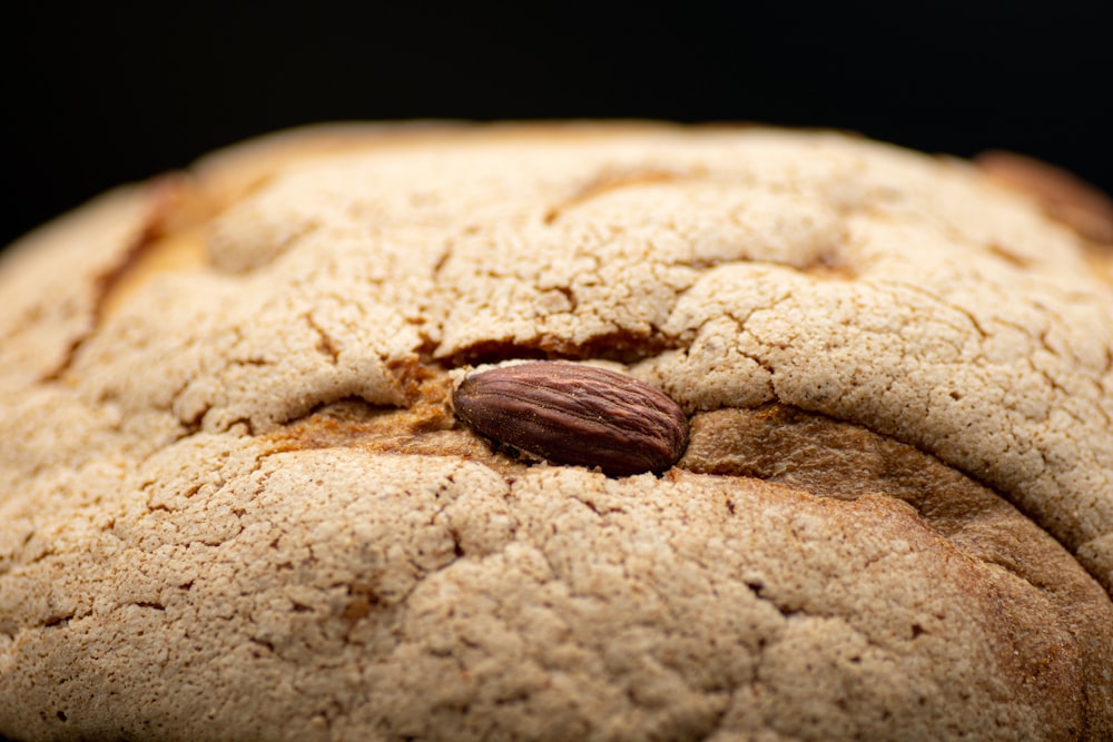 a close up of a piece of bread