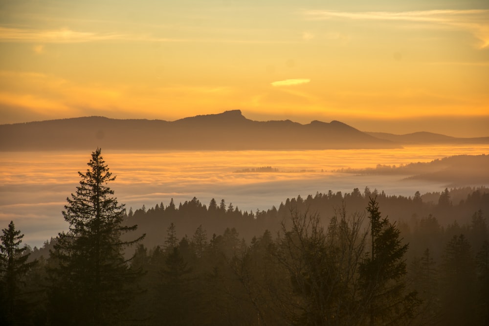 the sun is setting over the trees and mountains