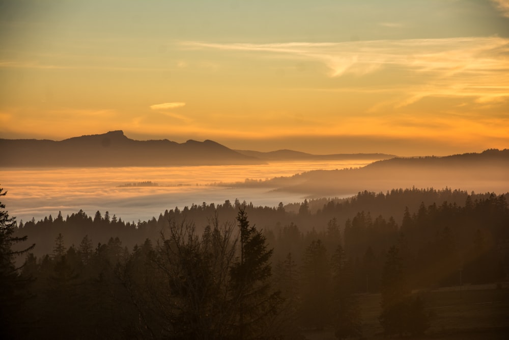 the sun is setting over the trees and mountains