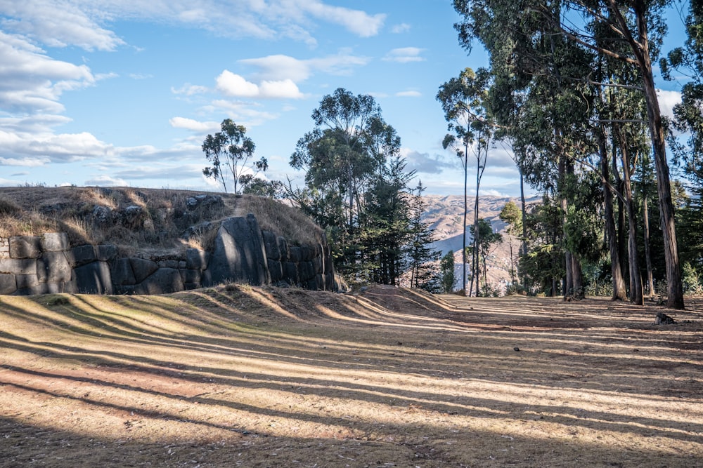 a dirt field with trees and a rock wall