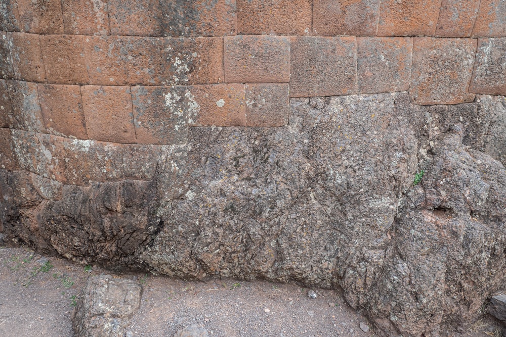 un muro de piedra con un pequeño parche de hierba creciendo entre él