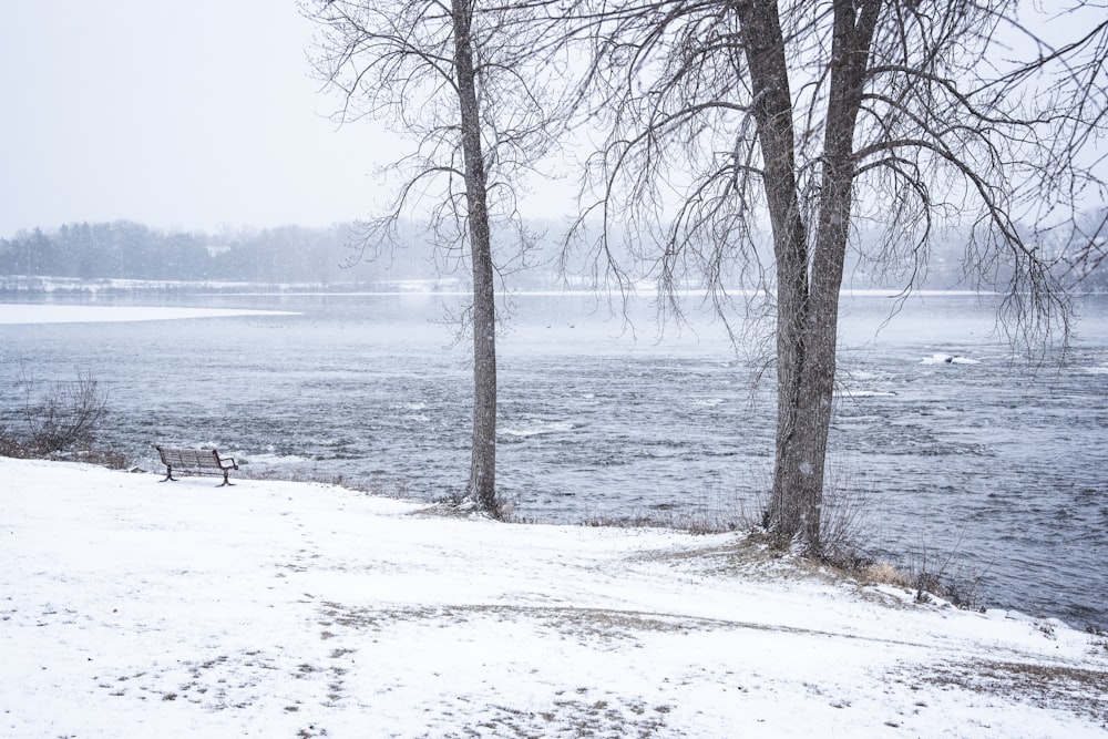 a snow covered field next to a body of water