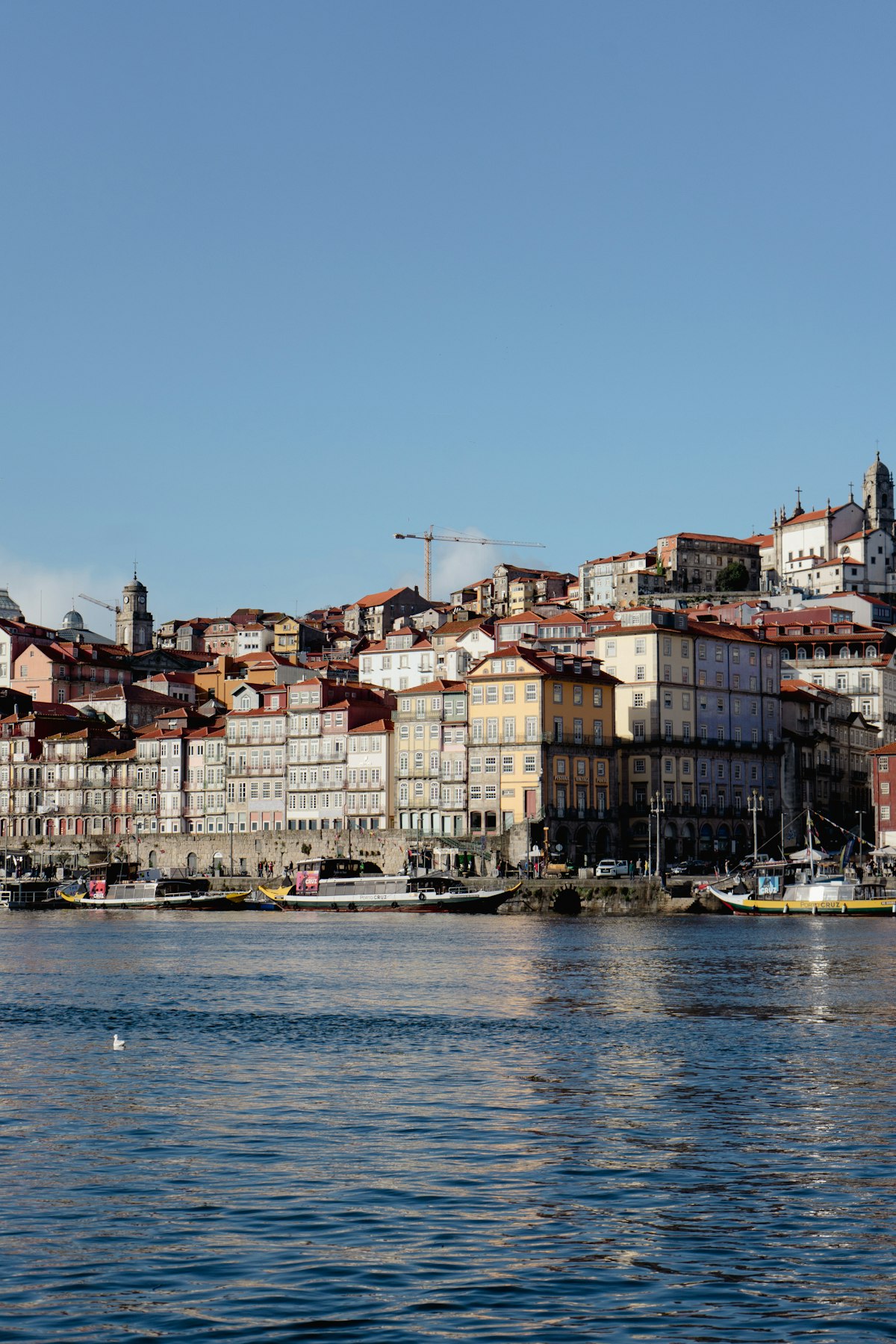 Cedofeita Porto — a panoramic view of the city rooftops and the Douro from a hilltop miradouro