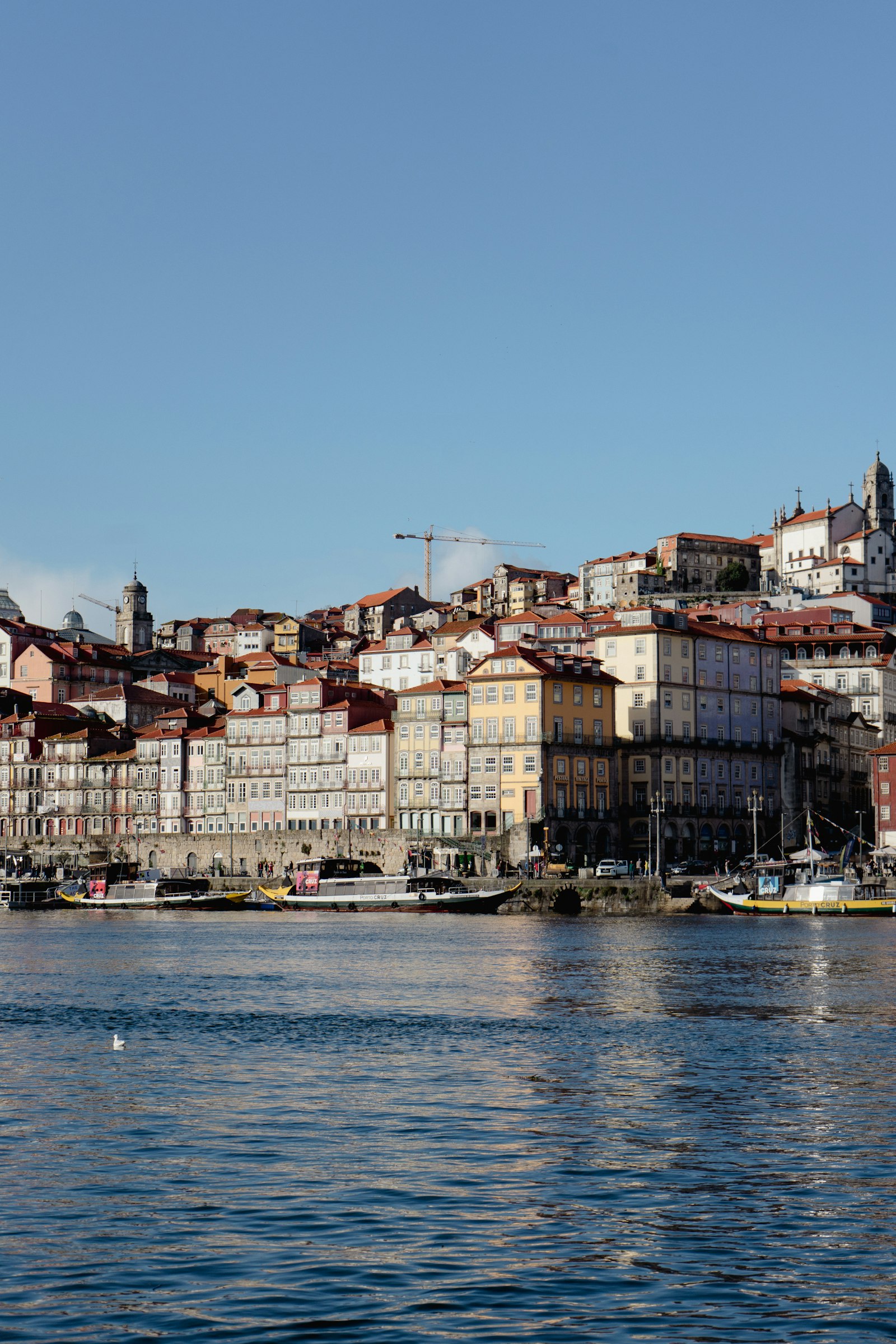 Tech portuguaise et cluster Lionesa