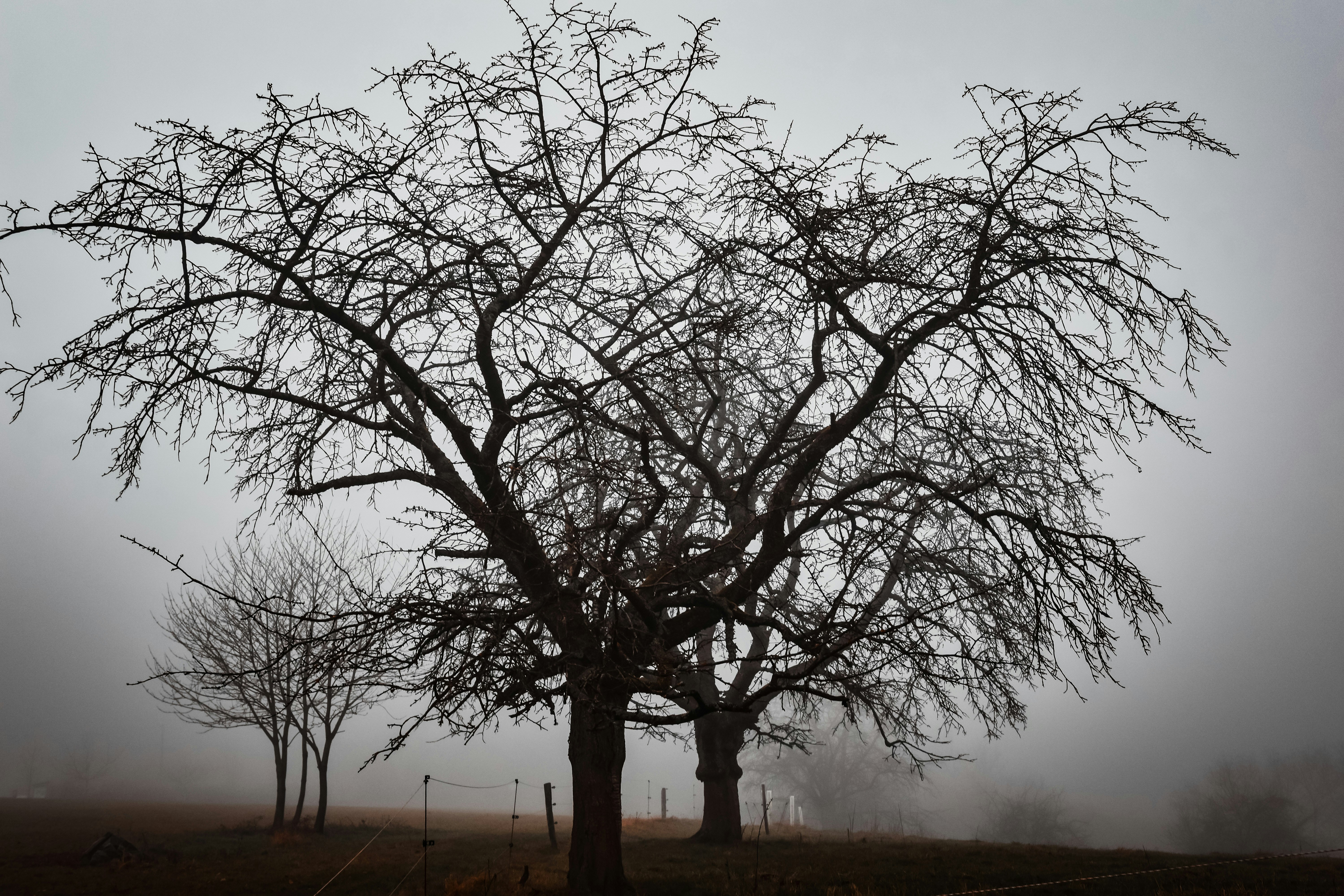 Photo by lauravalkyrja