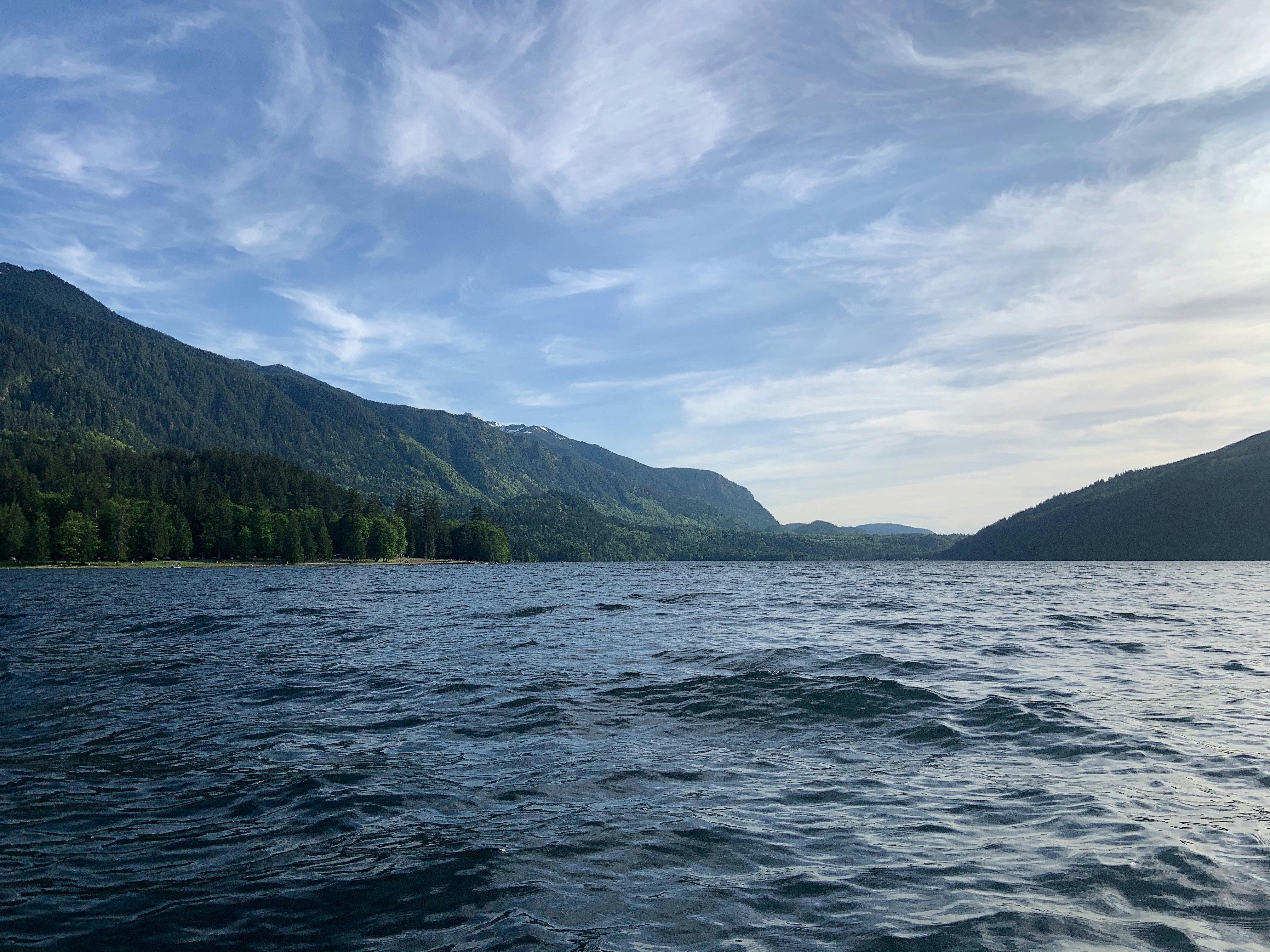 Photo by hollybooker15