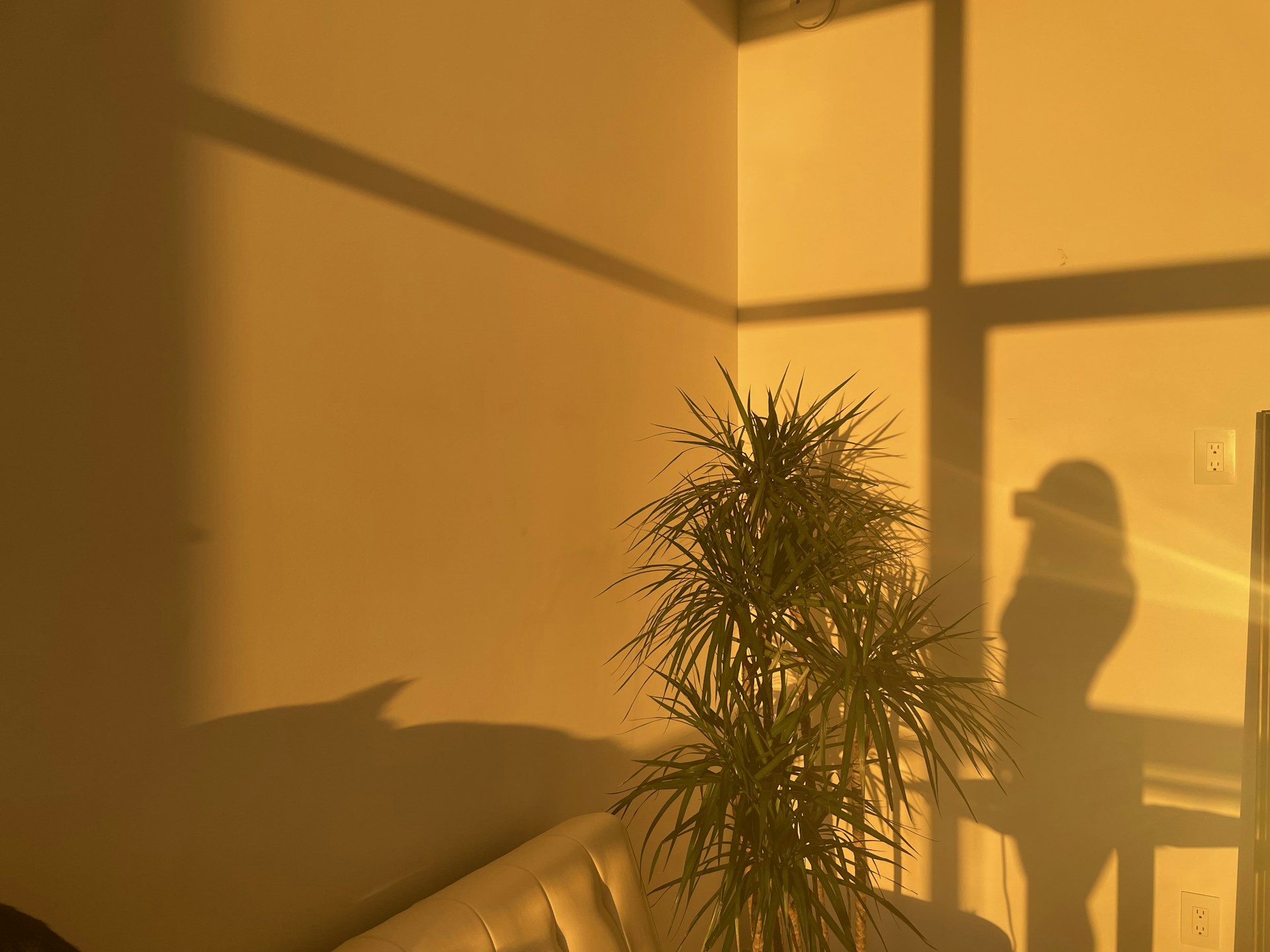 gray computer monitor