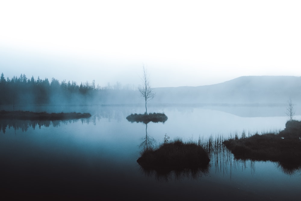 a foggy lake with a few trees in the distance