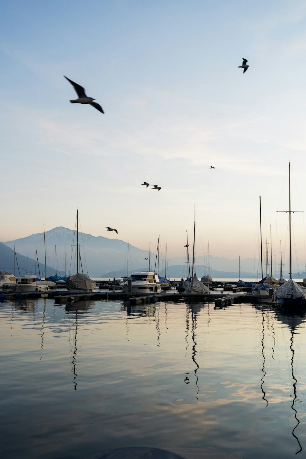 a flock of birds flying over a body of water