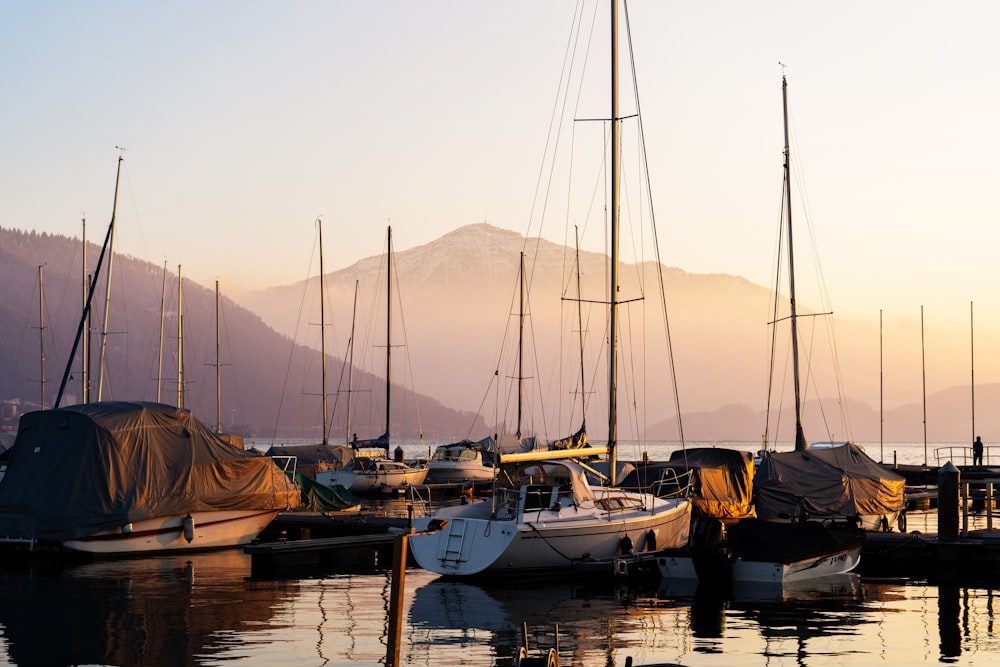 um monte de barcos que estão sentados na água