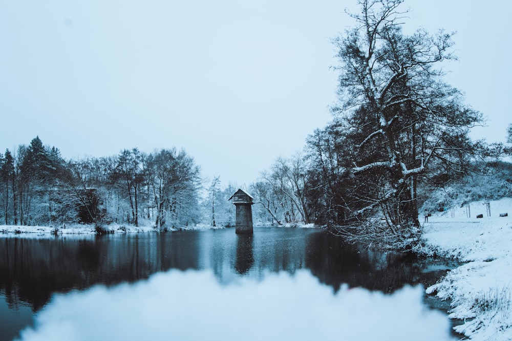 Ein See, umgeben von Bäumen und schneebedecktem Boden