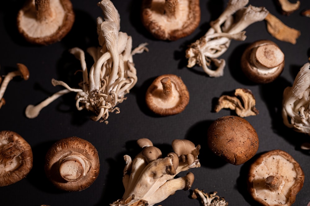 a group of mushrooms sitting on top of a table