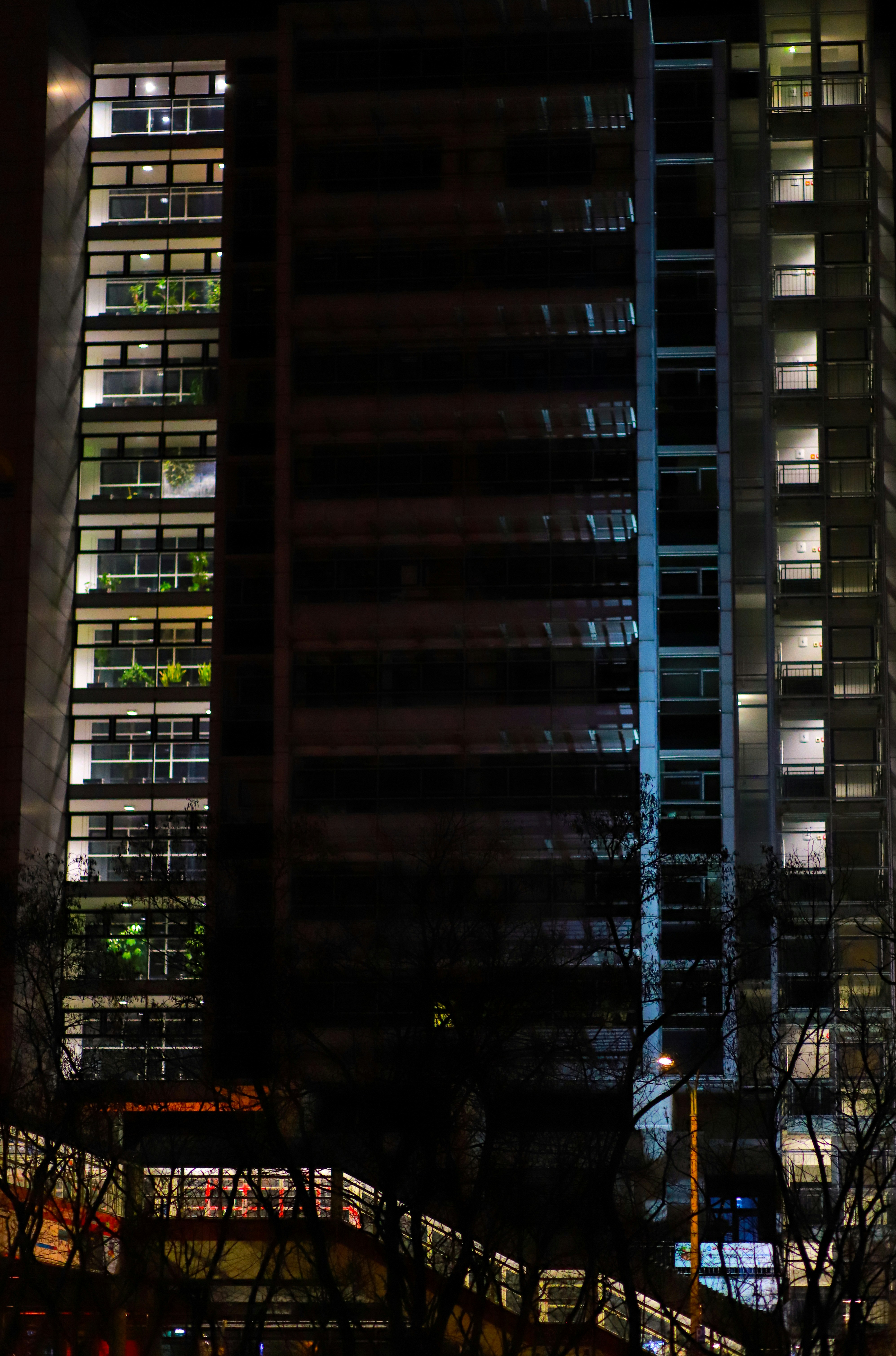 Photo by reyaznama