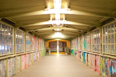 A narrow passageway lined with graffiti and handmade signs telling stories.