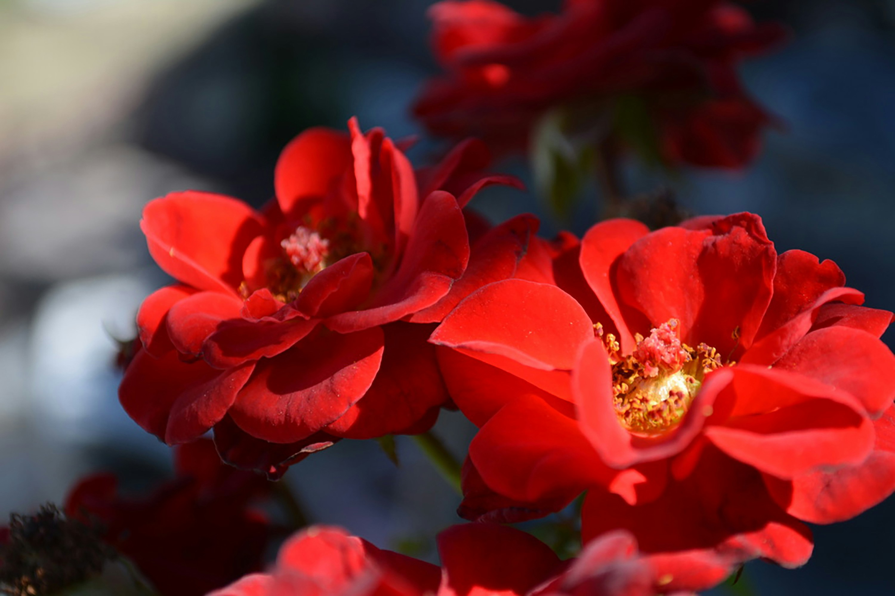 Photo by bymiyashiro