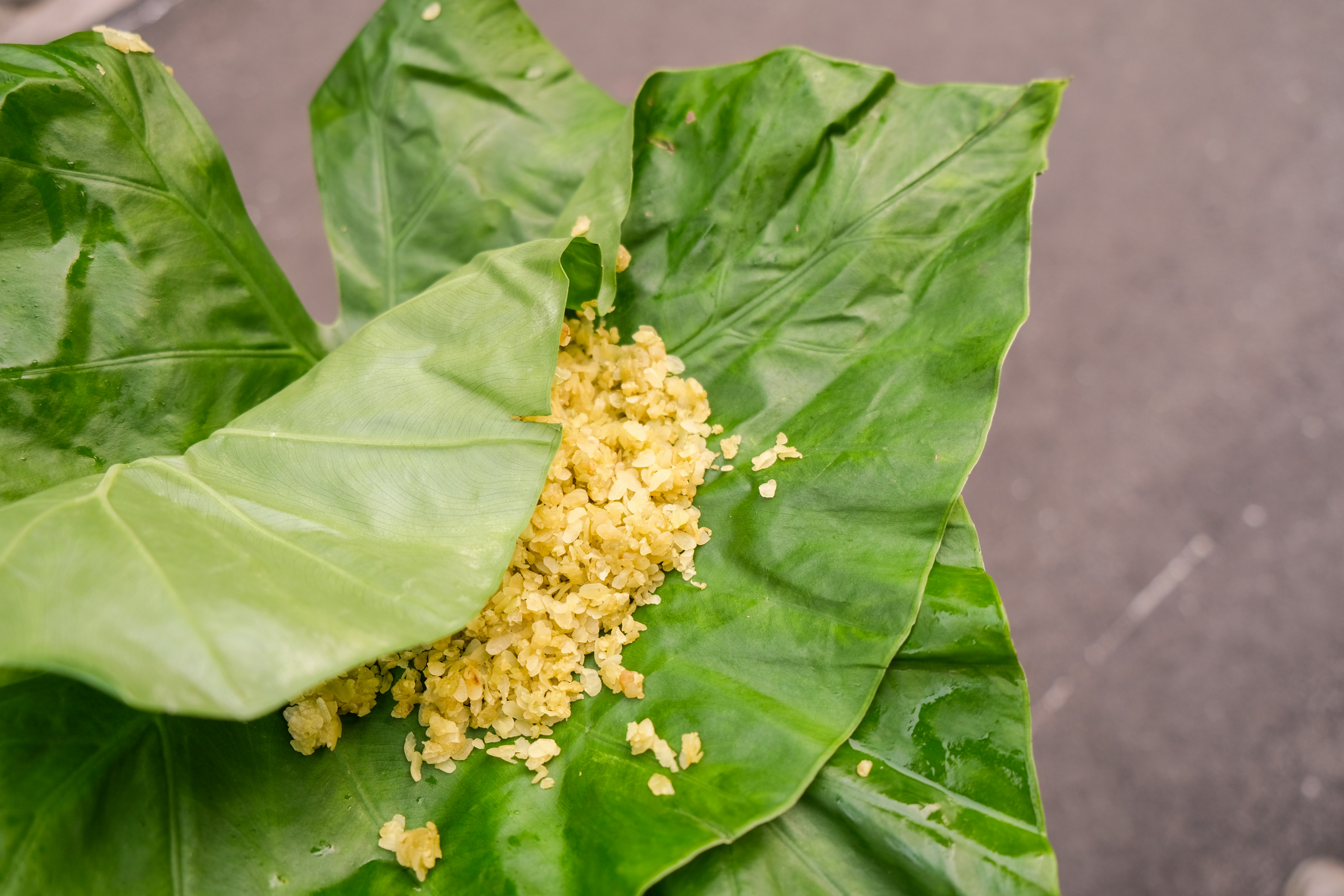 a close up of a green leaf with yellow flowers