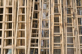 a close up of a bunch of bamboo sticks