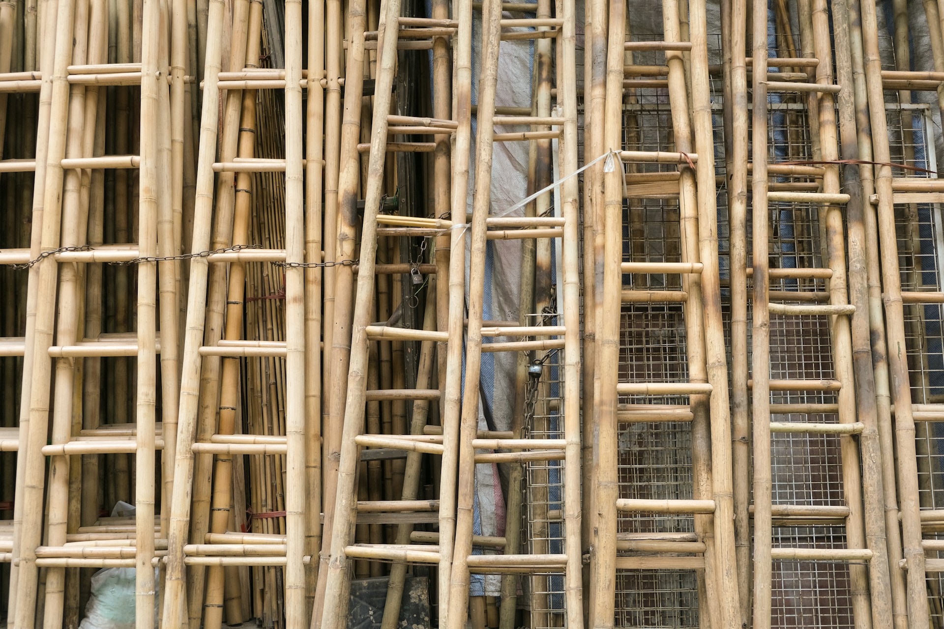 a close up of a bunch of bamboo sticks
