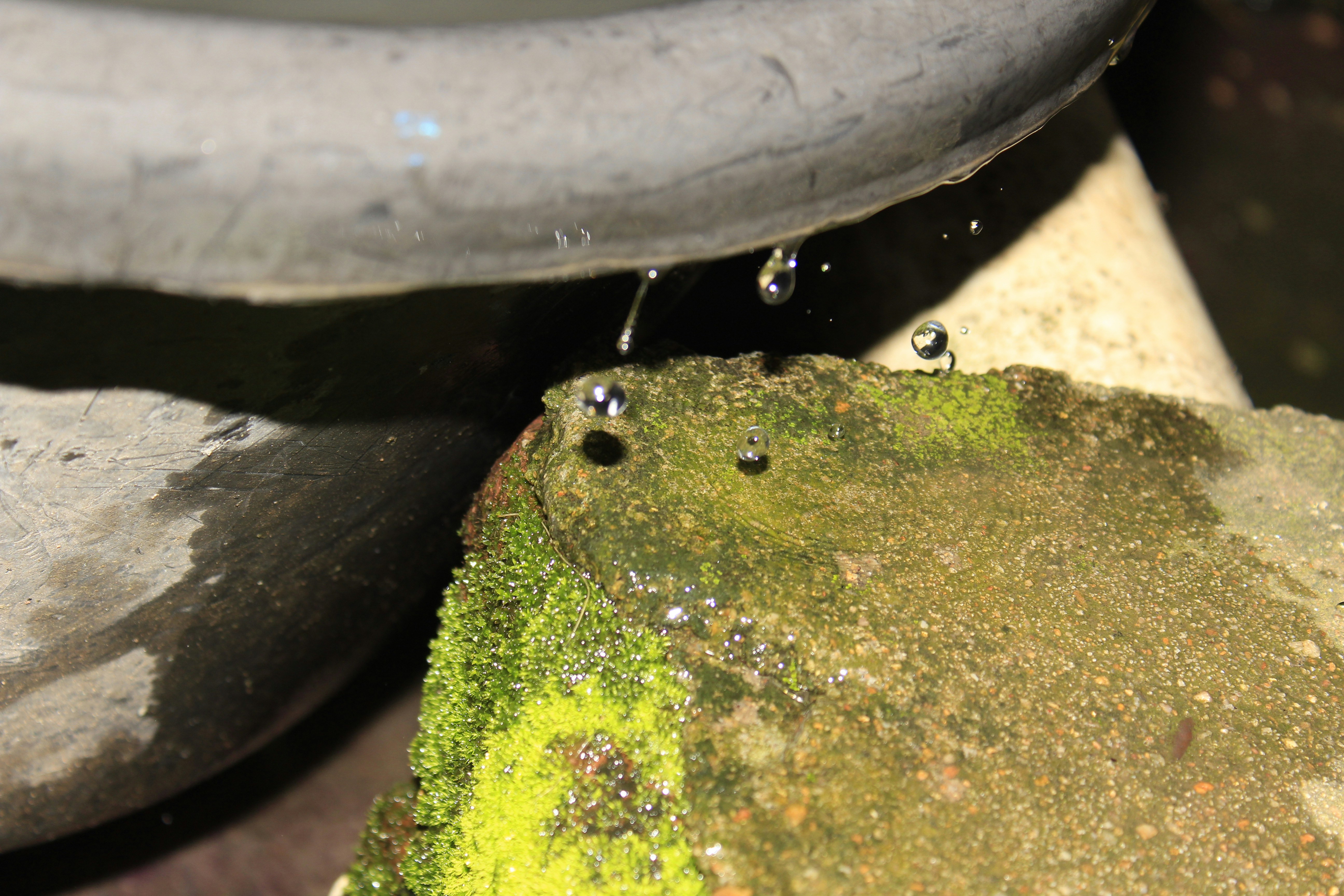a close up of a rock with water coming out of it